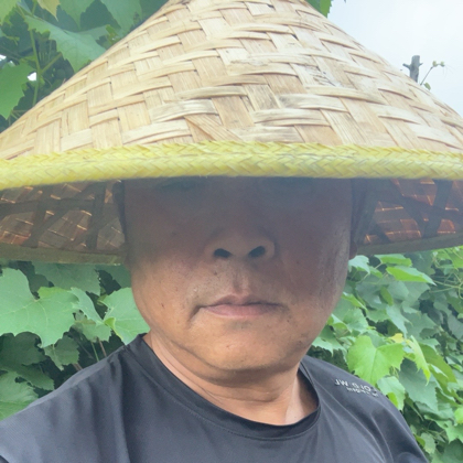 美食家1群 群聊头像
