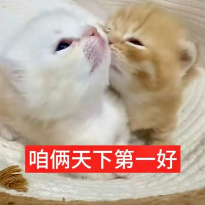 烧烤猪排 群聊头像
