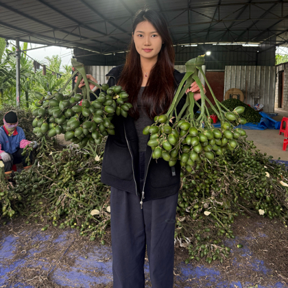 小微槟榔瓜菜技术交流群 群聊头像
