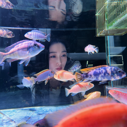 美羊羊养鱼日记群 群聊头像