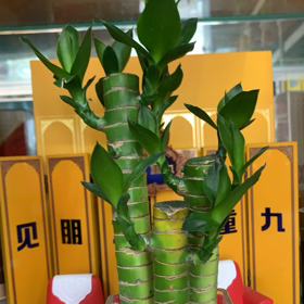 全国同行互助群 群聊头像