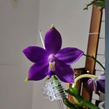 花友俱乐部 群聊头像