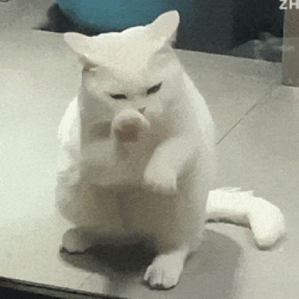 猫窝窝 群聊头像