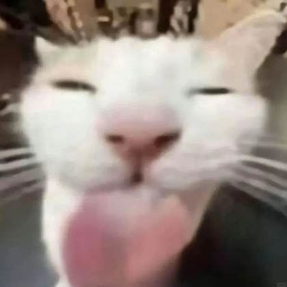 骑友交流群 群聊头像