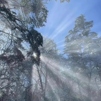 文玩攻略 群聊头像