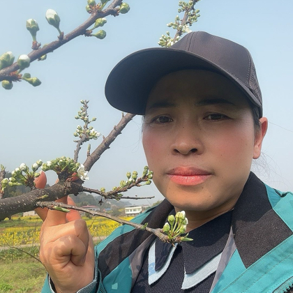 巧儿种植技术1 群聊头像