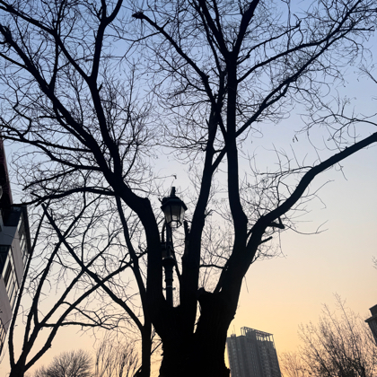 51大部队 群聊头像