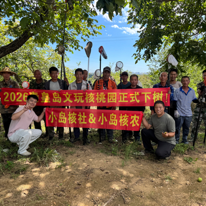 【小岛六六】文玩核桃交流3群 群聊头像