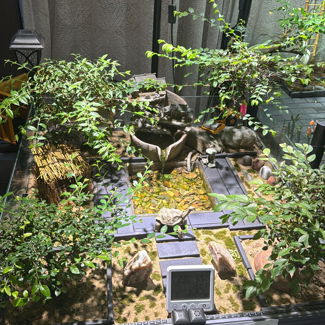 龟缸制作 群聊头像