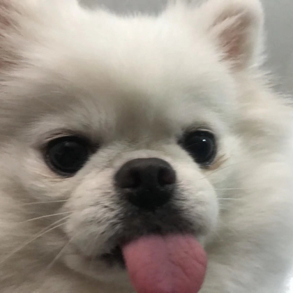 小7快乐屋 群聊头像