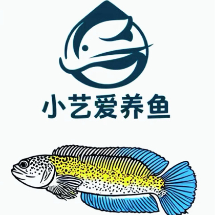 小艺雷龙鱼交流群🐟 群聊头像