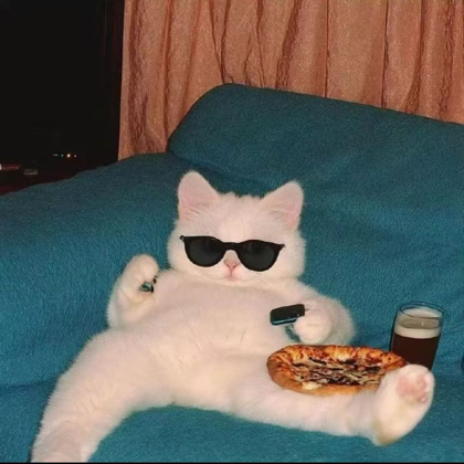 猫了个咪 群聊头像