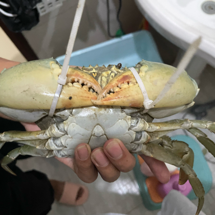 泉州赶海小分队 群聊头像