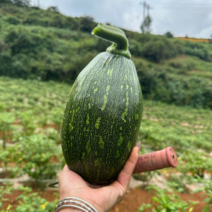 寻野小分队 群聊头像