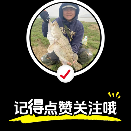 赛哥路亚娱乐文明垂钓分享 群聊头像