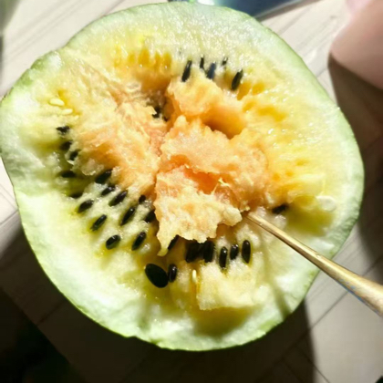甘肃人在成都～进群 群聊头像