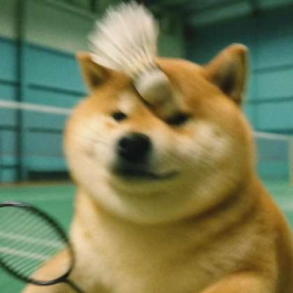 金昌【菜鸟互啄】羽毛球🏸群 群聊头像