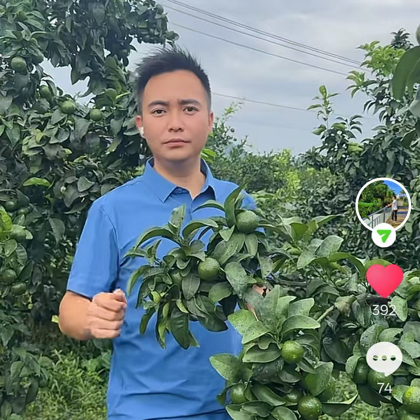 徐鹏说柑橘交流3群 群聊头像