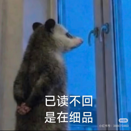 猫猫军团 群聊头像