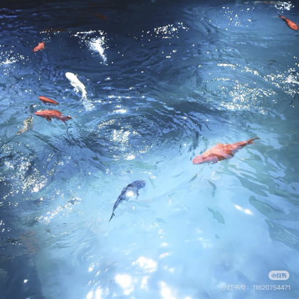 🐟钓鱼🎣 群聊头像