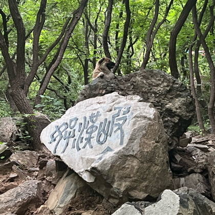 北京徒步组队 群聊头像