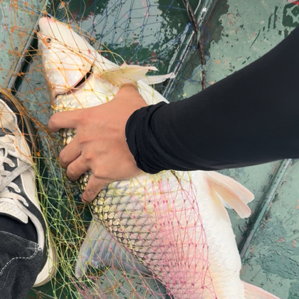 啊How🎣钓鱼群 群聊头像