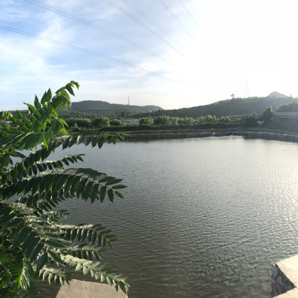 石门垂钓园 群聊头像