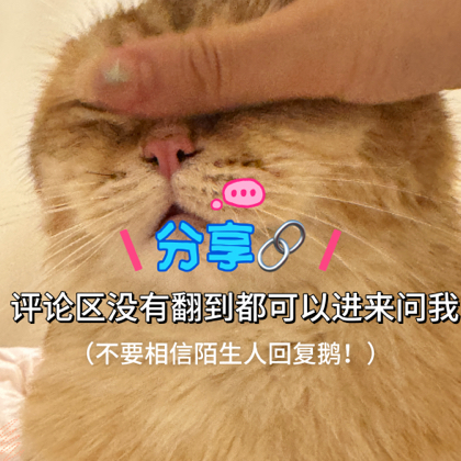 分享🔗 群聊头像