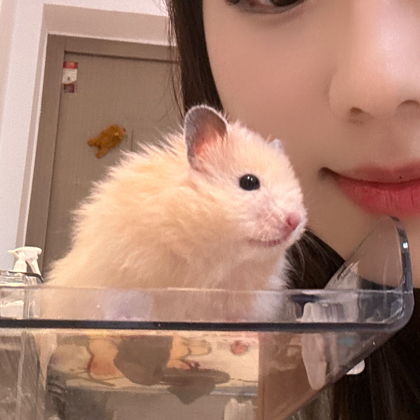 辣辣条条的答疑👗 群聊头像