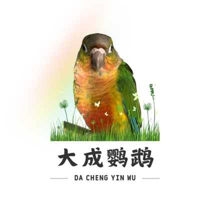 大成鹦鹉繁殖期交流群 群聊头像