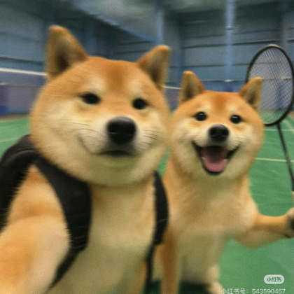 羽球🏸不打不相识 群聊头像