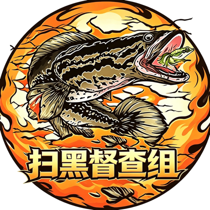 扫黑督查组 群聊头像
