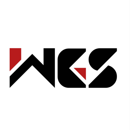 WGS夏季赛报名群 群聊头像