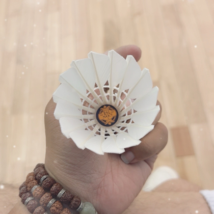 塘沽羽毛球小白 群聊头像