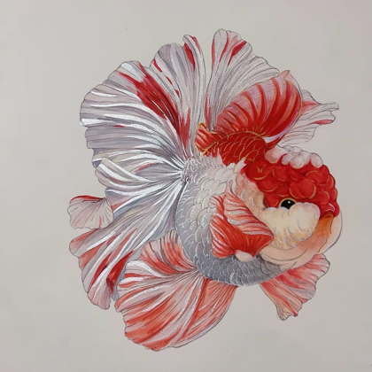 🐟鱼乐圈🐟 群聊头像