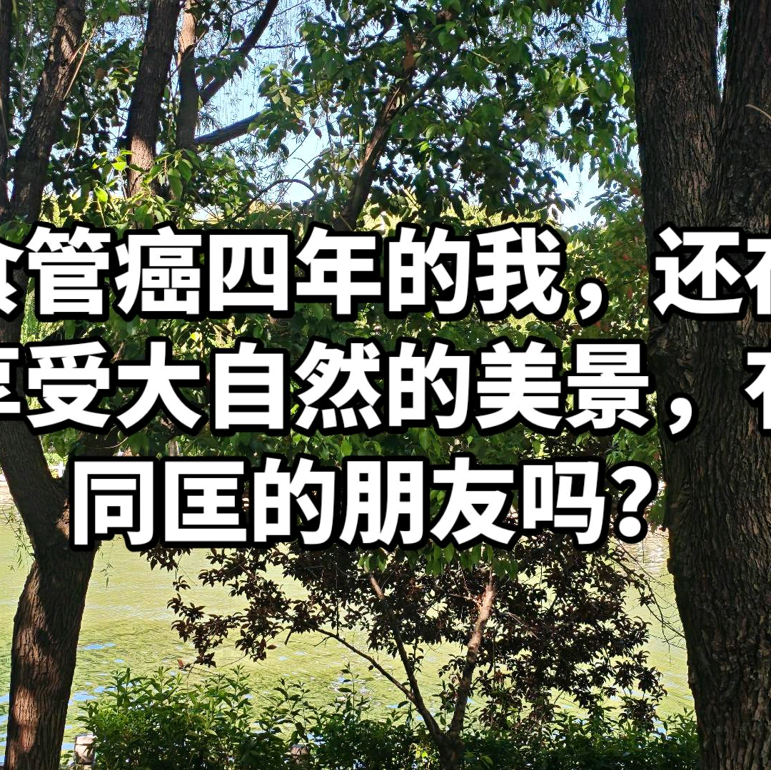食管病友群 群聊头像