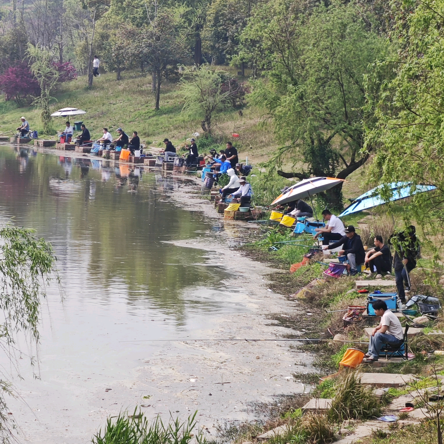 3 群青竹湖休闲垂钓基地 群聊头像