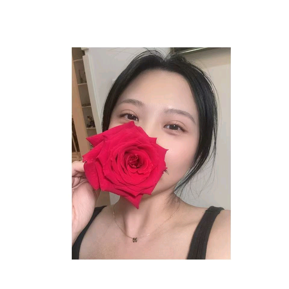 伊夏龟友群 群聊头像