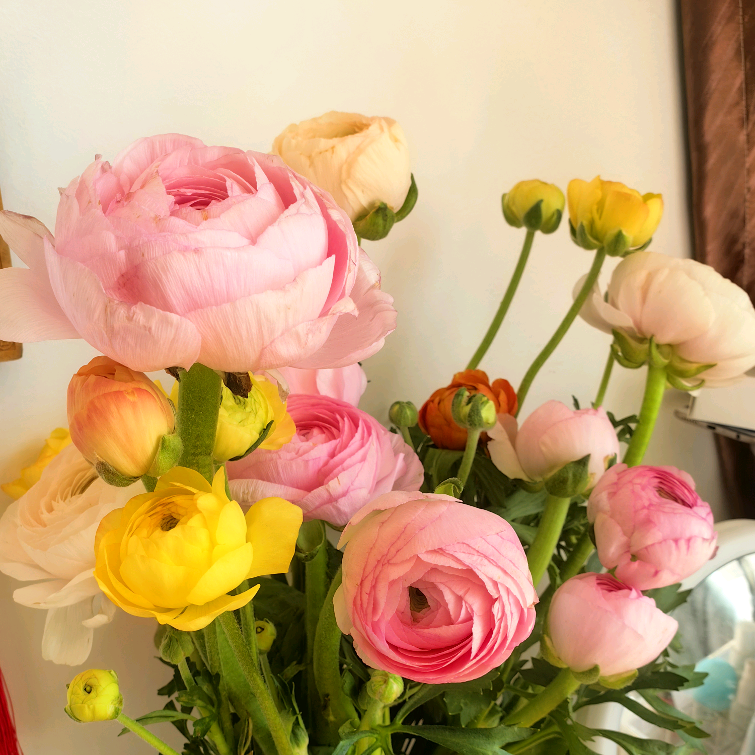 昆明捡菜、捡花、捡菌 群聊头像