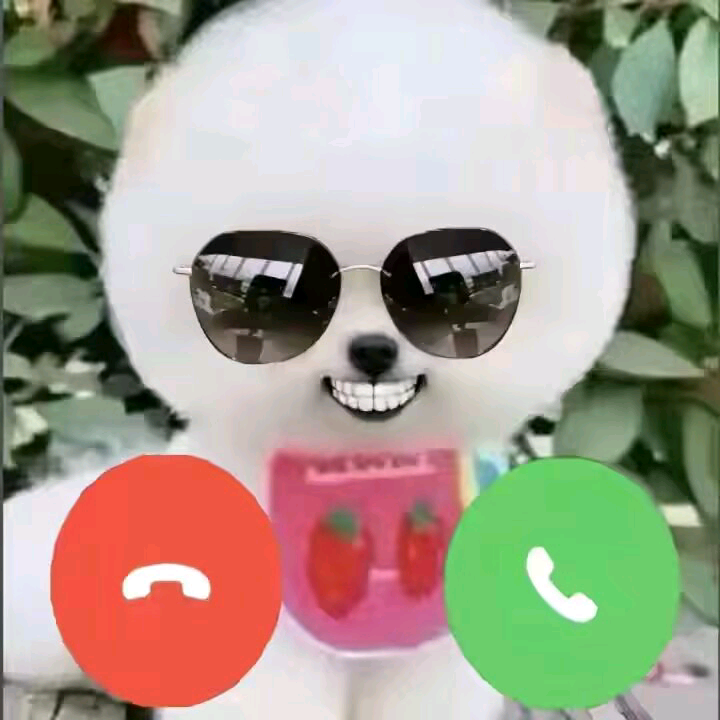 命运你假糍粑 群聊头像