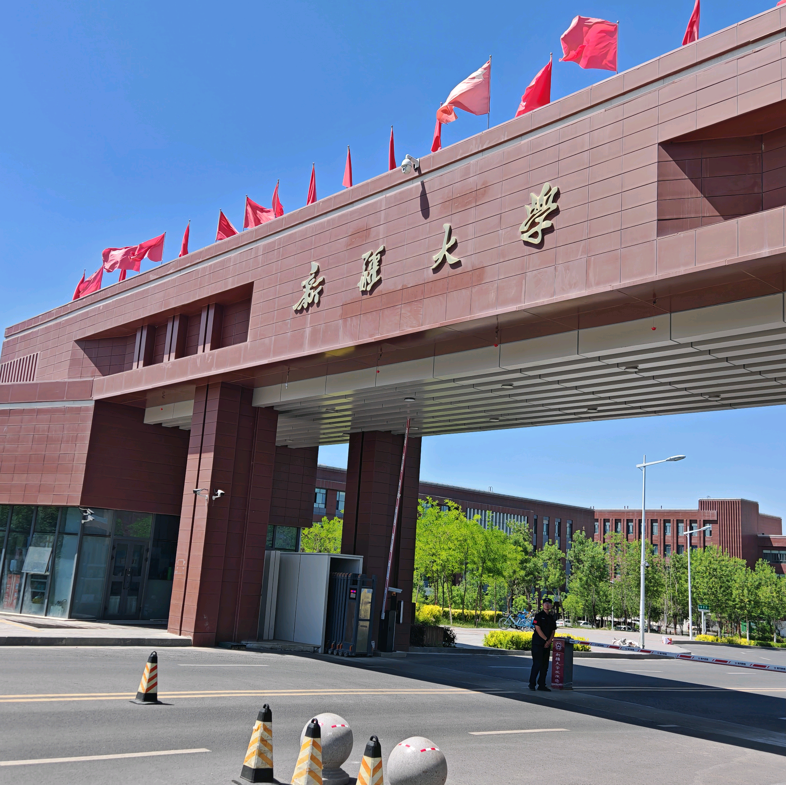新疆大学新生答疑解惑交流群 群聊头像