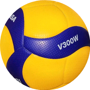 排球群🏐 群聊头像