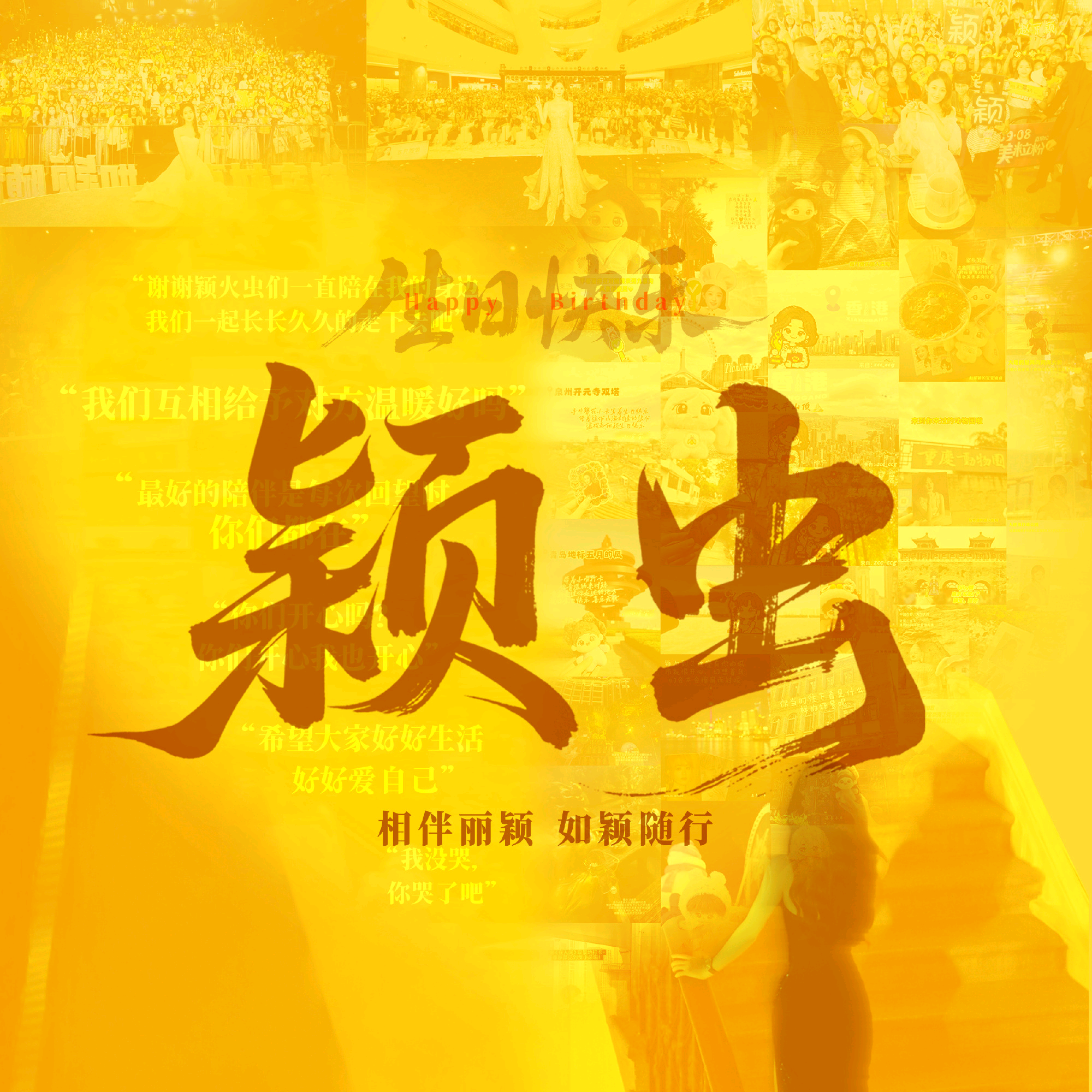 赵丽颖护卫队 群聊头像