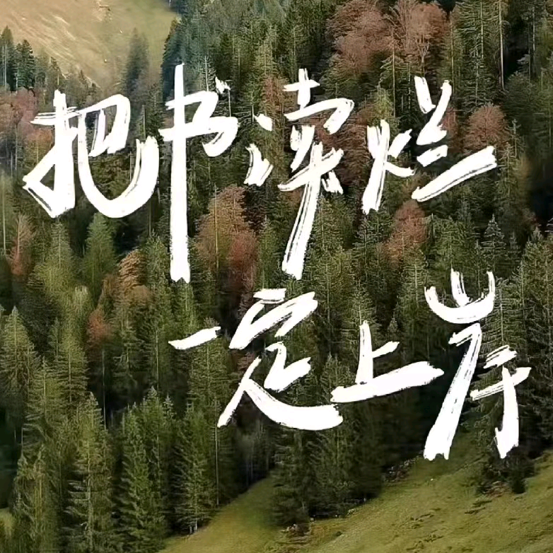 2026专升本上岸4 群聊头像
