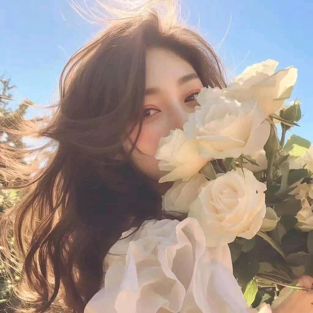 抖音 葵花班 群聊头像