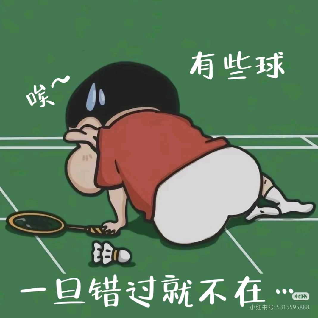 厦门羽毛球🏸搭子群 群聊头像