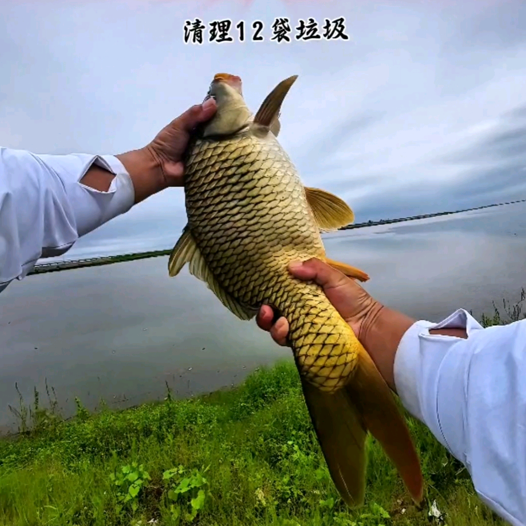 ②环保垂钓（啊锋） 群聊头像