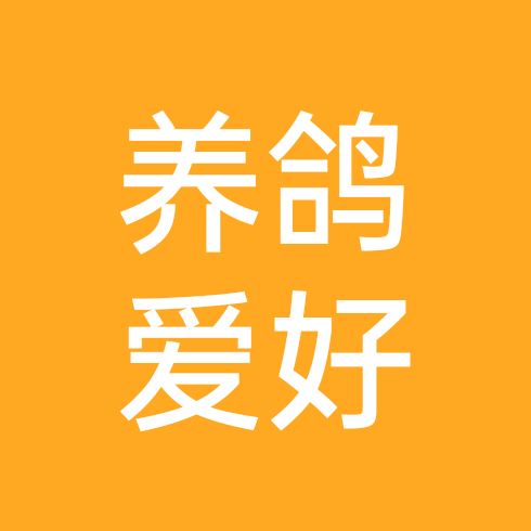 鸽友交流群1 群聊头像