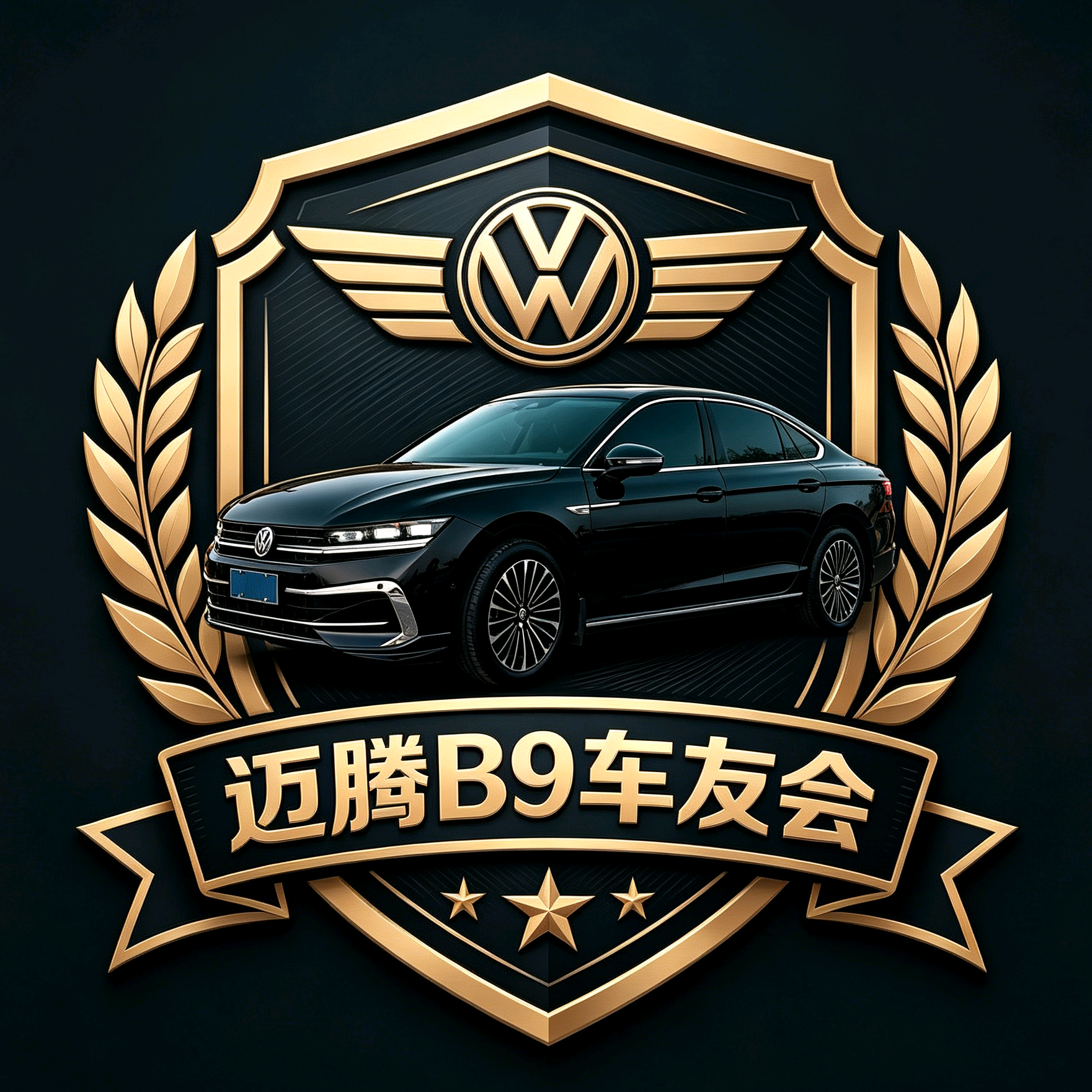 全国迈腾车友交流群—B9 群聊头像