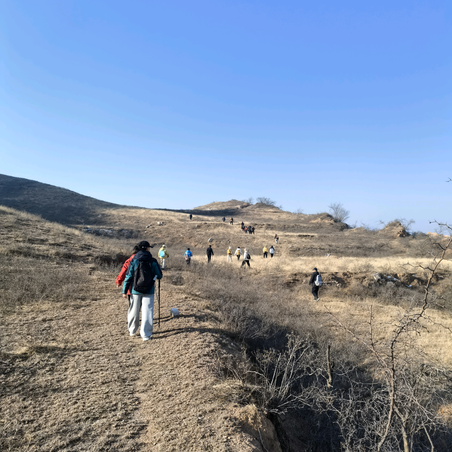 菜鸟休闲徒步旅行群 群聊头像